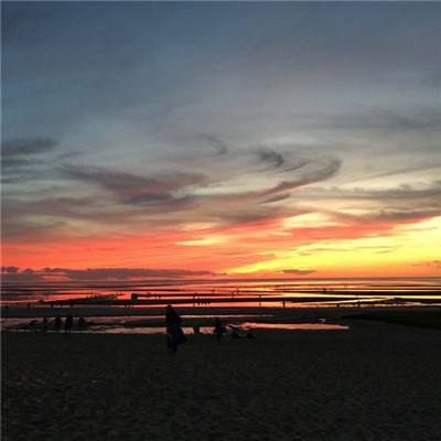 球探比分旧版大全下载手机版